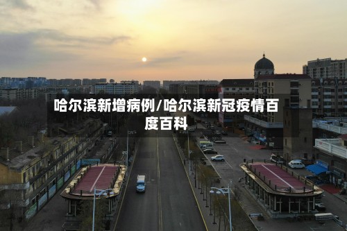 哈尔滨新增病例/哈尔滨新冠疫情百度百科-第2张图片