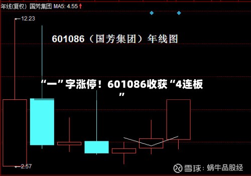 “一”字涨停！601086收获“4连板”